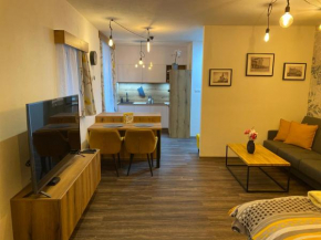 Apartmán Champion II Plzen